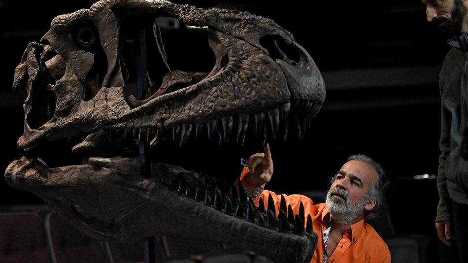 Dinosaurio descubierto en Argentina 20220707