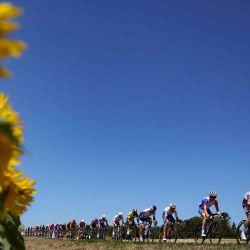 Los ciclistas pasan por los campos de girasol durante la carrera de ciclismo Tour de France. Thomas Samson / AFP. | Foto:AFP