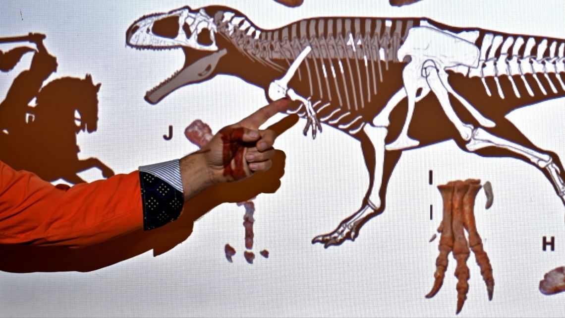 Argentine palaeontologist Sebastian Apesteguia shows a screen as he speaks about a newly discovered giant carnivorous dinosaur, called Meraxes gigas, at the Maimonides University in Buenos Aires, on July 7, 2022. The most complete skeleton known for a South American carcharodontosaur and one of the most complete in the world, was found about 20 km from Villa El Chocon, in the Argentine Patagonia. It is estimated to have died at around the age of 45, measured 11 meters long and weighed 4.2 tons.