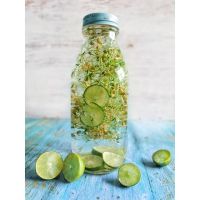 Nutrir y depurar es la clave