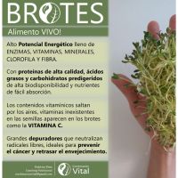 Nutrir y depurar es la clave