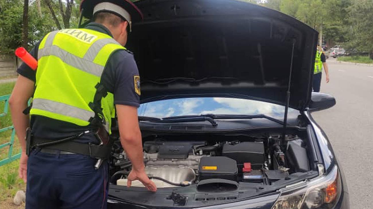 Centenares de coches robados recuperados en operativo policial mundial contra el tráfico de vehículos