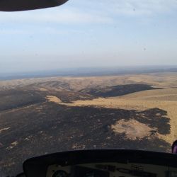 Hasta el momento, el fuego ya arrasó con 2.500 hectáreas.