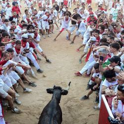 Los participantes corren delante de una vaca joven después del "encierro" de las fiestas de San Fermín en Pamplona, norte de España. | Foto:JOSE JORDAN / AFP