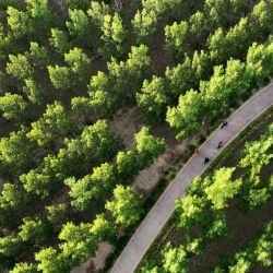 Vista aérea de personas haciendo ejercicio en el Parque de Humedales de Jiulong, en la provincia de Shaanxi, en el noroeste de China. | Foto:Xinhua/Tao Ming