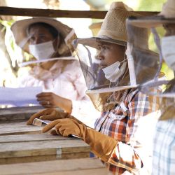 Proyecto de Guerlain X UNESCO Women for Bees