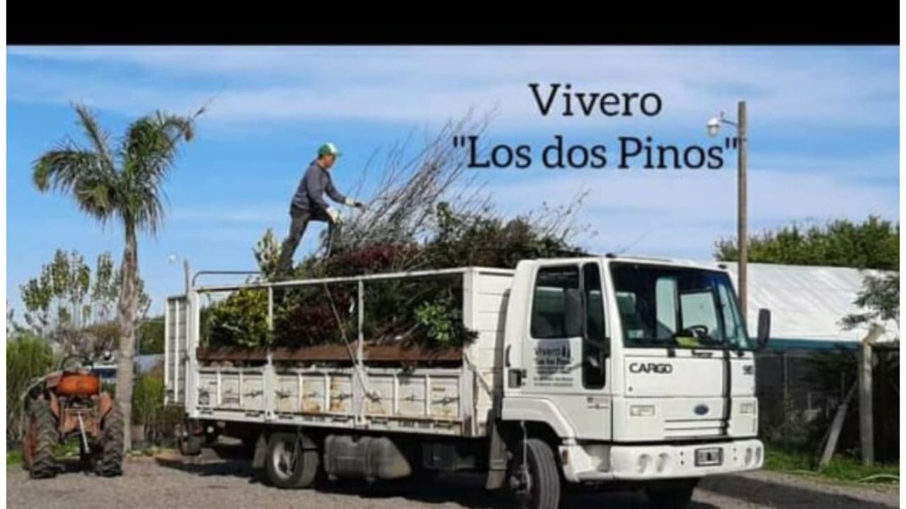 VIVERO “LOS DOS PINOS”  | Foto:CEDOC