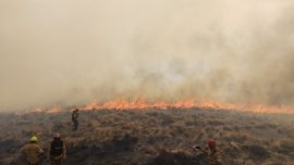 El fuego se desató en la tarde del pasado sábado 9 de julio.