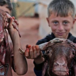 Unos niños muestran cabezas de cabra cortadas, sacrificadas como parte de la conmemoración de la festividad musulmana de Eid al-Adha, en un campamento de desplazados sirios por el conflicto, en el pueblo de Killi, en la provincia noroccidental de Idlib, controlada por los rebeldes. | Foto:AAREF WATAD / AFP