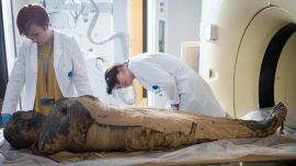 El estudio del esqueleto de la “Dama Misteriosa” tuvo lugar en el marco del Proyecto de Momias de Varsovia.