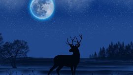 Se trata de la tercera Superluna llena del año.