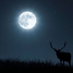 Superluna del Ciervo 2022: ¿cuándo podrá verse la luna llena de julio? 