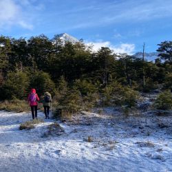 Las Hayas Ushuaia Resort es un hotel muy cómodo que ofrece caminatas gratuitas a los huéspedes. 