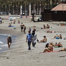La intensa ola de calor es uno de los motivos de su presencia en esas playas españolas.