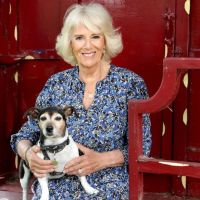 Camilla Parker Bowles celebra su cumpleaños nº 75 con un nuevo retrato