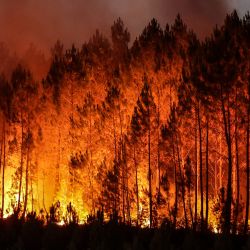 La foto muestra un incendio forestal en Louchats, suroeste de Francia. | Foto:THIBAUD MORITZ / AFP