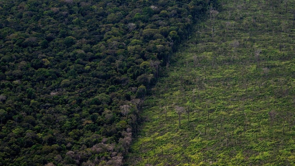 Aerial view showing a deforested area of the Amazon rainforest seen during a flight between Manaus and Manicore, in Amazonas State, Brazil, on June 6, 2022. The way for man's lust over the Amazonian richness is open at the "non-destined public forests" of Brazil, a non-regulated immense area where land invaders, miners and illegal loggers camp freely.