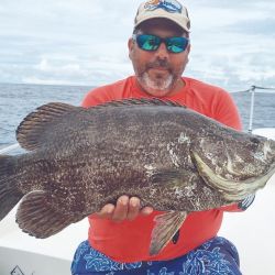 Cinco jornadas de capturas increíbles en el mar de Bahía Cupica.