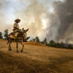 Un aldeano monta un burro mientras una nube de humo de un incendio forestal se eleva en el fondo cerca de Ksar el-Kebir en la región de Larache, Marruecos. | Foto:FADEL SENNA / AFP