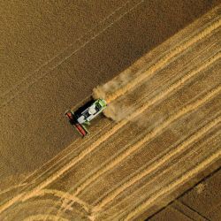 Una vista aérea muestra una cosechadora que recoge el grano de un campo cerca de Selm, al oeste de Alemania. | Foto:INA FASSBENDER / AFP