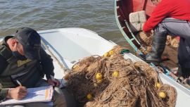 Los dos sujetos fueron detenidos in fraganti.