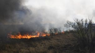 Delta del Paraná en llamas