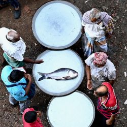 La gente mira un pescado expuesto para su venta en el mercado de pescado junto al río Buriganga en Dhaka Bangladesh. | Foto:MUNIR UZ ZAMAN / AFP