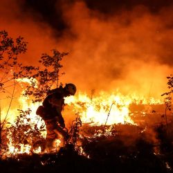 Un bombero táctico prende fuego a una parcela mientras los bomberos intentan evitar que el incendio forestal se extienda debido al cambio de viento, mientras luchan contra un incendio forestal cerca de Louchats en Gironde, suroeste de Francia. | Foto:THIBAUD MORITZ / AFP