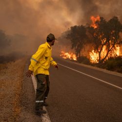 Un guardabosques observa un incendio forestal salvaje cerca de la ciudad marroquí de Ksar el-Kebir, en la región de Larache. | Foto:FADEL SENNA / AFP
