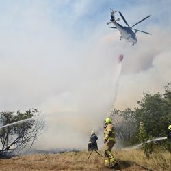 Los bomberos rocían agua con una manguera sobre el fuego mientras el incendio forestal hace estragos cerca del pueblo de Novelo, Eslovenia. | Foto:Jure Makovec / AFP