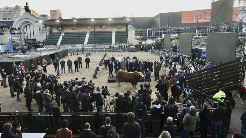 campo 20220723