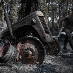 Un cazador francés pasa por delante de un coche quemado durante una operación de instalación de puntos de agua para animales salvajes en un bosque devastado por un incendio forestal cerca de Pyla sur Mer en Gironda, suroeste de Francia. | Foto:PHILIPPE LOPEZ / AFP