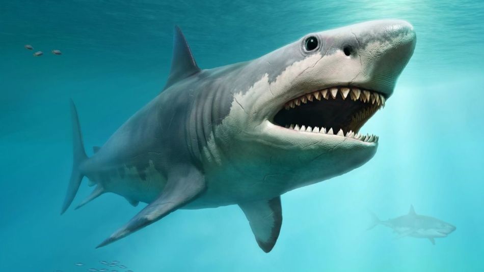 Megatiburones