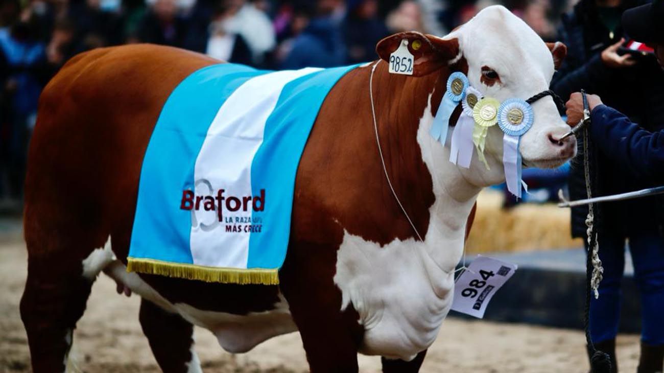 Fotogalería lo mejor de la rural 2022.