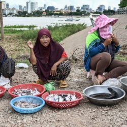 Mujeres camboyanas venden pescado cerca del río Mekong en Phnom Penh. | Foto:MOHD RASFAN / AFP
