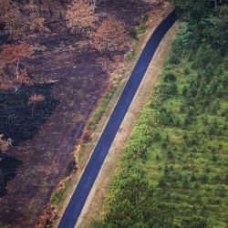 Esta vista aérea muestra el bosque quemado tras los incendios forestales cerca de Landiras, en el suroeste de Francia. | Foto:THIBAUD MORITZ / AFP