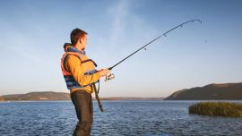 La fecha se celebra en la Argentina desde el año 1951.