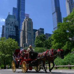 Carros de caballos con clientes recorren Central Park en un día caluroso en la ciudad de Nueva York. | Foto:ANGELA WEISS / AFP