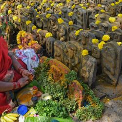 Un devoto hindú hace ofrendas religiosas a esculturas de piedra de serpientes con motivo del "Naga Panchami", un día auspicioso en el calendario hindú en el que se adora a las serpientes, en Bangalore. | Foto:Manjunath Kiran / AFP