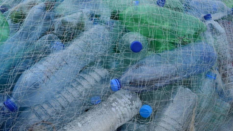 Adiós al plástico: desarrollan un nuevo material biodegradable capaz de sustituirlo