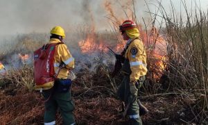 Rosario Incendios