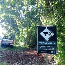 Se instalaron nuevas herramientas viales para la conservación de la fauna en el Parque Nacional Iguazú