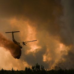 Un avión de extinción de incendios rocía retardante de fuego sobre los árboles durante un incendio forestal cerca de Belin-Beliet en Gironde, suroeste de Francia. Philippe LOPEZ / AFP. | Foto:AFP