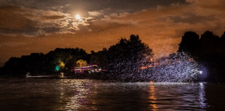 Un enjambre de efímeras (Ephoron virgo - Ephemeroptera de la familia Polymitarcyidae) vuela sobre la superficie del río Danubio después de la puesta del sol en Szentendre, al norte de Budapest, Hungría. FERENC ISZA / AFP.