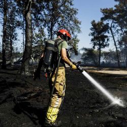 Los bomberos trabajan para extinguir un incendio que estalló en una reserva natural de Brabante Septentrional en Schijf. Remko de Waal /AFP. | Foto:AFP