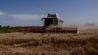 agriculture