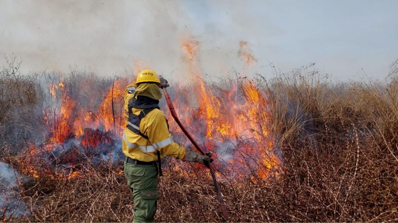 Incendios en el Delta de Paraná: continúan combatiendo el fuego en tres  focos activos | Perfil