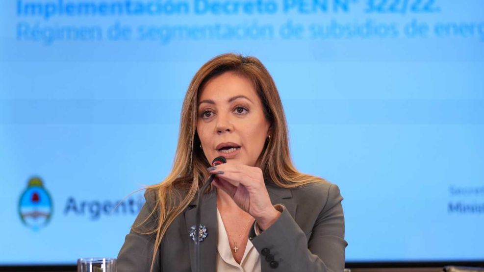 La secretaria de Energía, Flavia Royón