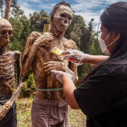 Un miembro de la familia del grupo étnico Toraja prepara los cuerpos de los familiares exhumados de un cementerio comunitario para limpiarlos y vestirlos en una serie de ceremonias tradicionales en honor a los muertos conocidos como Manene en la aldea de Torea, en Toraja del Norte, Sulawesi del Sur de Indonesia. ANDRI SAPUTRA / AFP. | Foto:AFP