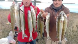 Matungos importantes en una excursión exitosa.